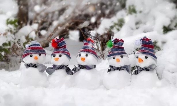 Snowy Playground